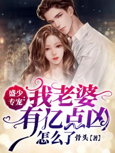 盛少专宠:我老婆有亿点凶怎么了