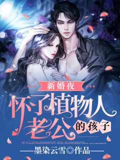 好书推荐《新婚夜,怀了植物人老公的孩子》江辞月墨北琛全文免费试读