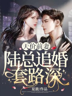 天价前妻:陆总追婚套路深