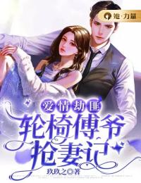 爱情劫匪:轮椅傅爷抢妻记