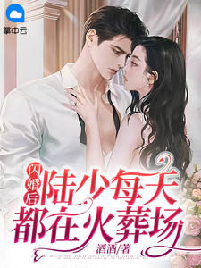 闪婚后，陆少每天都在火葬场南歌陆云霆小说免费试读