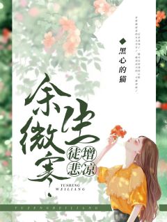 《余生微寒,徒增悲凉》小说章节在线阅读 林梦陆昭小说全文