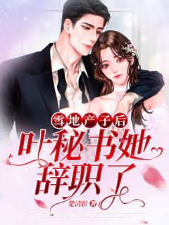 《雪地产子后，叶秘书她辞职了》小说章节免费试读 叶星辞顾凛寒小说阅读