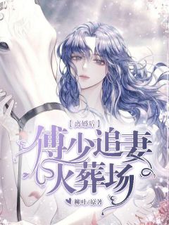 小说《离婚后，傅少追妻火葬场》苏晚轻傅夜琛全文免费阅读