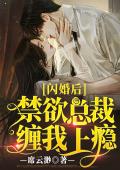 闪婚后,禁欲总裁缠我上瘾完整版在线阅读(主角高玥玥凌景信)