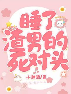 陈念念陆寒琛by小甜酒 我睡了渣男的死对头小说完整篇在线阅读