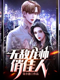 无敌龙帅俏佳人小说全文在线阅读 宁毅赵飞凰全文完整版章节