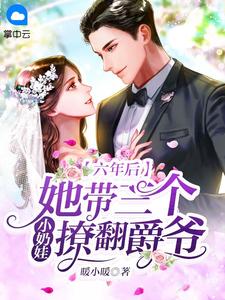 六年后,她带三个小奶娃撩翻爵爷