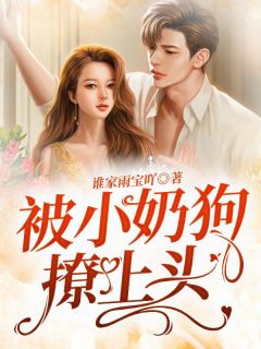 《被小奶狗撩上头》小说章节目录免费阅读 顾以沫许衍小说阅读