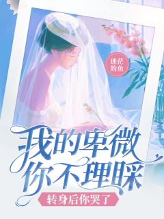 我的卑微你不理睬,转身后你哭了