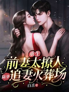 《重生前妻太撩人，陆爷追妻火葬场》小说章节列表精彩试读 叶笙陆庭洲小说全文