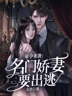 豪孕来袭:名门娇妻要出逃!主角乔洛离夜战霆全文精彩内容在线试读