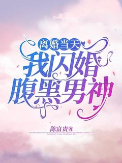 离婚当天,我闪婚腹黑男神