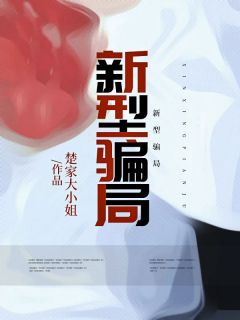 新型骗局章节 新型骗局小说目录阅读