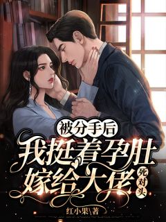 小说《被分手后,我挺着孕肚嫁给大佬死对头!》棠缘季子遇全文免费阅读