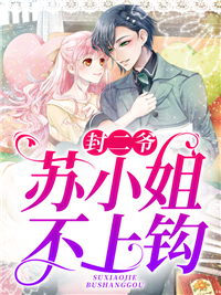 《封二爷，苏小姐不上钩》小说主角苏启颜封隐全文章节免费在线阅读