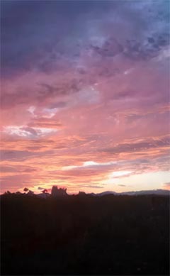 《民国巨擘从拉黄包车开始》小说大结局免费试读 刘子祥刘颖妮刘静琳小说全文