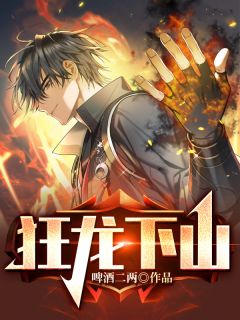 狂龙下山苏泽林婉儿目录 狂龙下山小说阅读