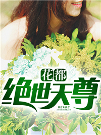 护花殿主最新章节 叶凡孟清漪大结局免费在线阅读