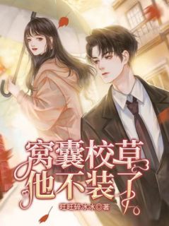 《窝囊校草他不装了》(秦招宋远)小说阅读by旺旺碎冰冰