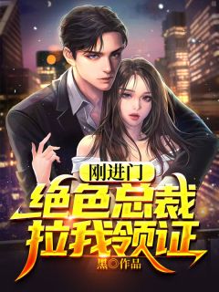 刚进门，绝色总裁拉我领证江辰苏妙琳小说阅读 刚进门，绝色总裁拉我领证文本免费试读