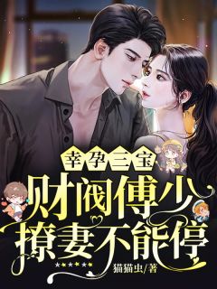 《幸孕三宝:财阀傅少撩妻不能停》苏以笙傅九辞章节在线试读