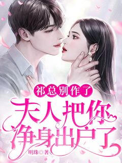 祁总别作了,夫人把你净身出户了小说全集免费在线阅读(苏砚祁湛)