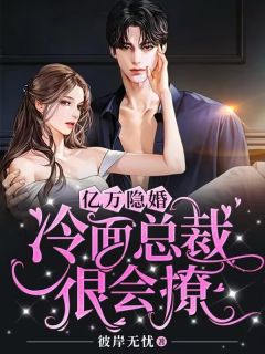 精品《亿万隐婚:冷面总裁很会撩》小说免费试读 秦潇陆时衍小说全集无删减全文