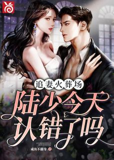 《追妻火葬场:陆总今天认错了吗》小说章节目录精彩试读 宋暖陆司川小说全文