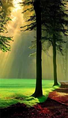 苏凉意陌千宸小说 诡异横行:我在异世敕封神明章节在线阅读