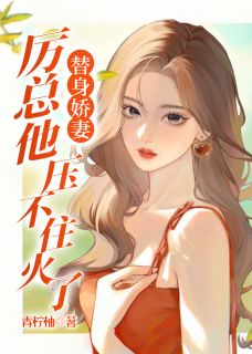 [替身娇妻：厉总他压不住火了虞绾厉靳云小说全文章节目录在线阅读