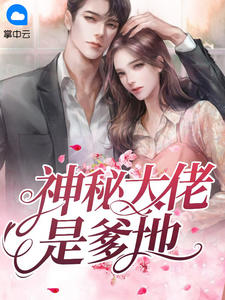 主角是风清雪夜震风的小说 《神秘大佬是爹地》 全文在线阅读