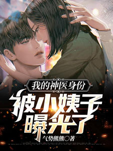 《我的神医身份被小姨子曝光了》小说章节目录在线试读 叶白苏妍小说全文