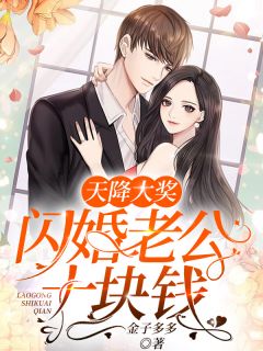 天降大奖:闪婚老公十块钱