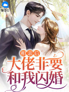 相亲后大佬非要和我闪婚章节 相亲后大佬非要和我闪婚小说目录阅读
