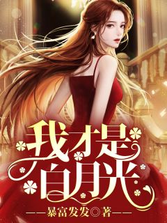 我才是白月光林渲染沈亦峥小说免费试读