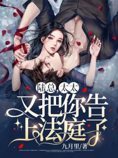 《陆总，太太又把你告上法庭了！》沈文笙陆峋小说最新章节目录及全文精彩章节