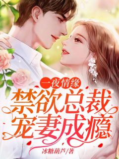 一夜情缘:禁欲总裁宠妻成瘾