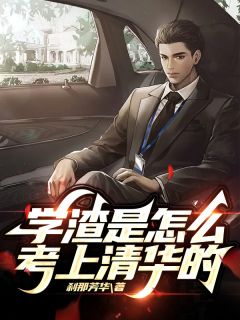 《学渣是怎么考上清华的》小说完结版免费阅读 允儿晋阳小说阅读