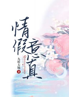 情假意真原著小说免费阅读