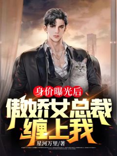 身价曝光后,傲娇女总裁缠上我秦天苏瑾雯小说精彩内容免费试读