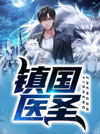镇国医圣by玄武 龙晨苏灵儿小说全文阅读
