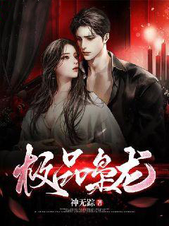 极品枭龙叶问天苏冉芳小说全文阅读