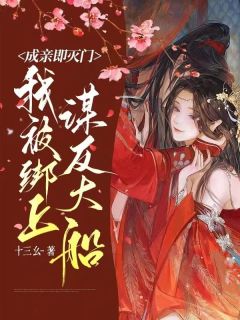 《成亲即灭门,我被绑上谋反大船》小说章节目录在线阅读 沈半见白朝寒小说全文