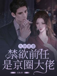 《久别重逢，禁欲前任是京圈大佬》苏堇禾周游章节目录在线阅读