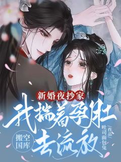 新婚夜抄家，我揣着孕肚搬空国库去流放精彩章节 宋南烟叶云洲全章节阅读