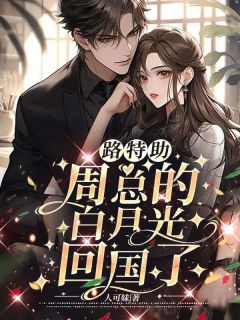 路特助,周总的白月光回国了路千宁周北竞_路特助,周总的白月光回国了章节