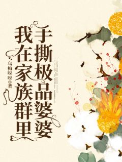 《我在家族群里手撕极品婆婆》小云王宇宏大结局免费试读