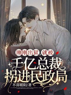 刚刚出狱，就被千亿总裁拐进民政局叶乔斐傅北墨小说全文章节阅读 刚刚出狱，就被千亿总裁拐进民政局免费精彩章节