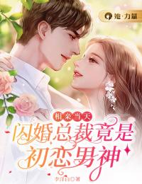 相亲当天,闪婚总裁竟是初恋男神